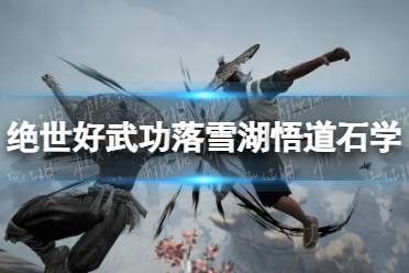 《绝世好武功》攻略——落雪湖悟道石怎么学